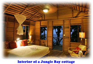Interior of a Jungle Bay cottage
