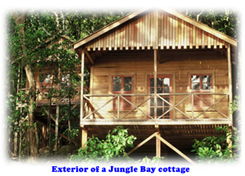 Exterior of a Jungle Bay cottage