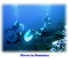 Divers at Champagne Beach